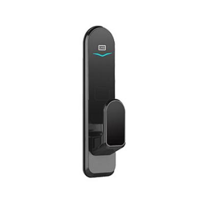 face recognition door lock